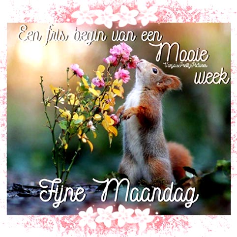 e7a9eed5fb7eec09113867a15d258602