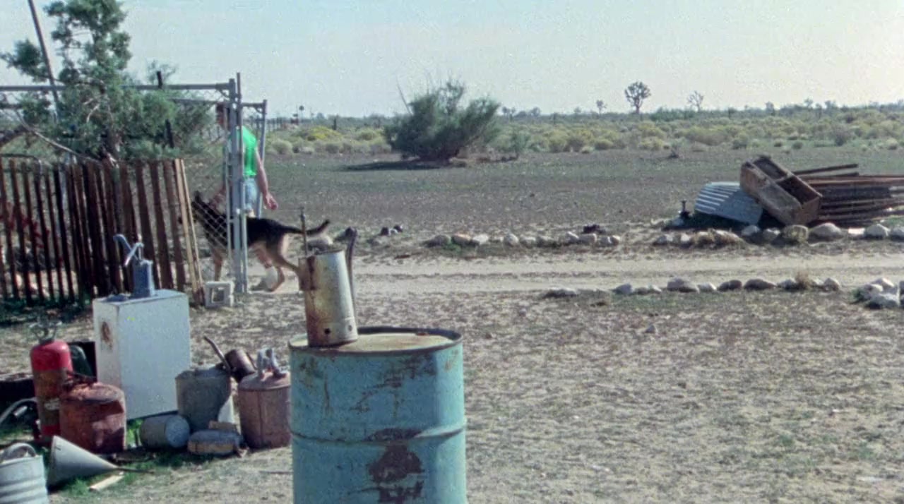The Hills Have Eyes (1977) Free Movie Download The Hills Have Eyes (1977) Free Movie Download