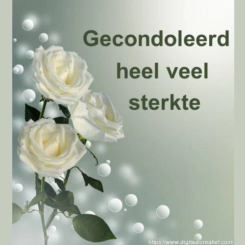 gecondoleerd-veel-sterkte-standard