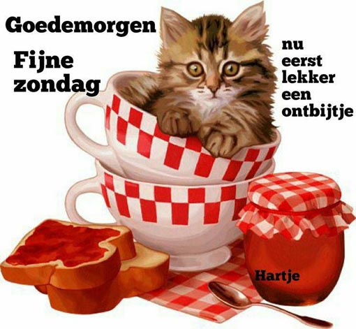 1598168281-1b9ee7f5920ea8b70c7db1b35e1e12ae-1598168281