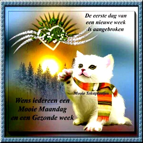 857bb98b1a2bfabefc4b2db178c0e455-jpg-henk