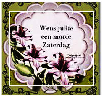 zaterdag