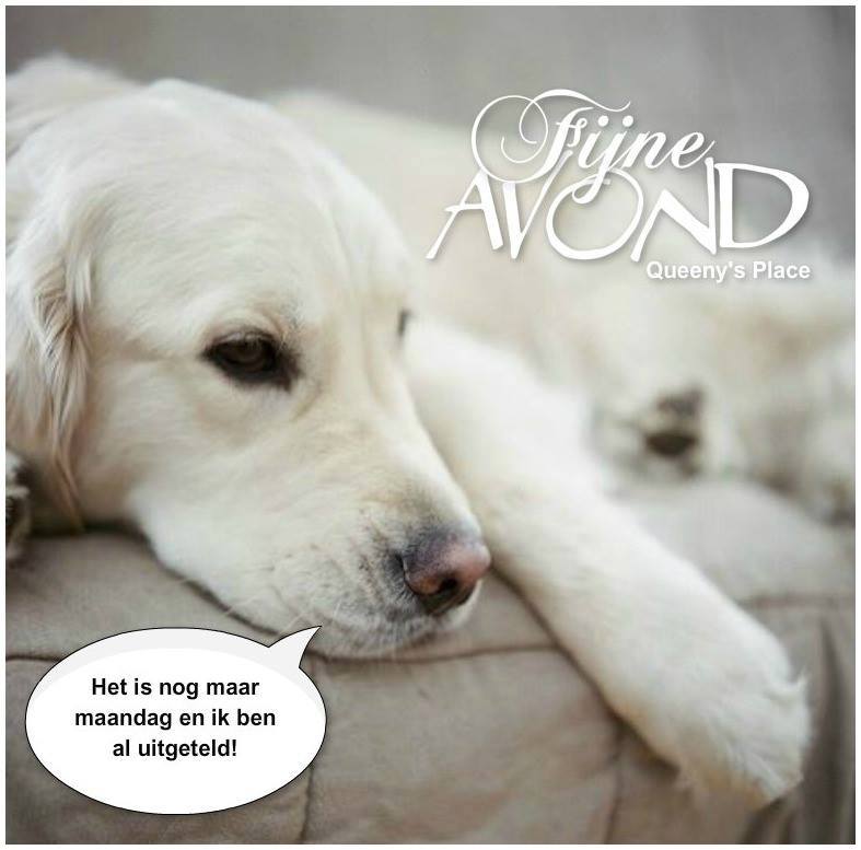 11039195-656305297808114-2383072075842264693-n