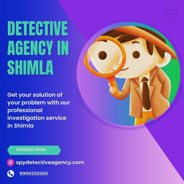 Choose the Expert Detective Agency in Shimla to solve people problems