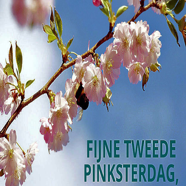 pinksteren-2e