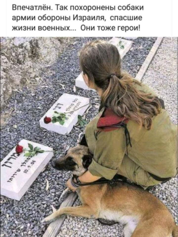 ������. ��������� �������� ��������!