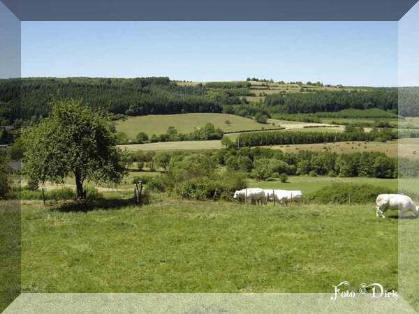 An den Beitrag angehängtes Bild: http://i.postimg.cc/3JFT3f1D/buiten.jpg