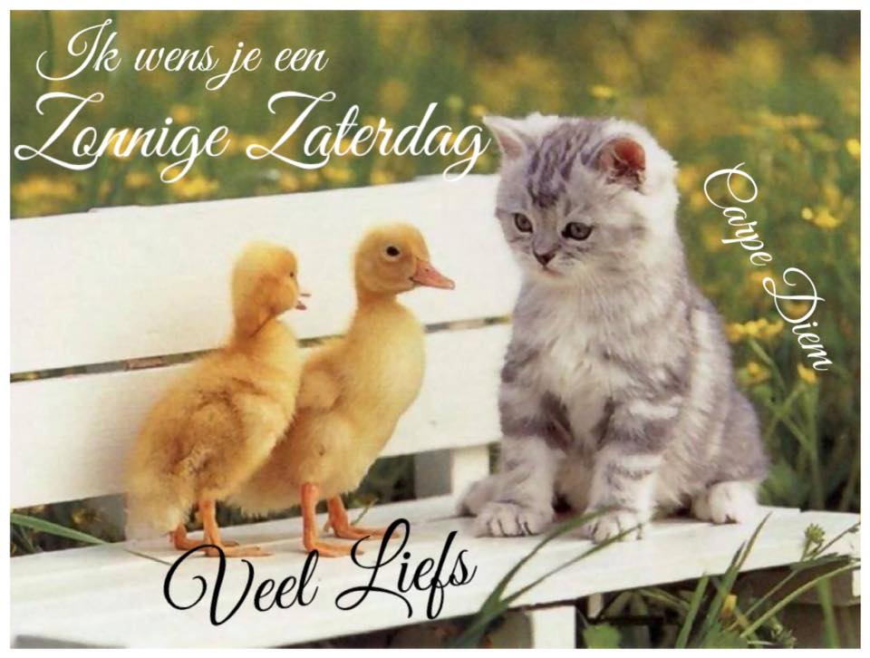 12342818-1687140018219101-6619679485493124245-n