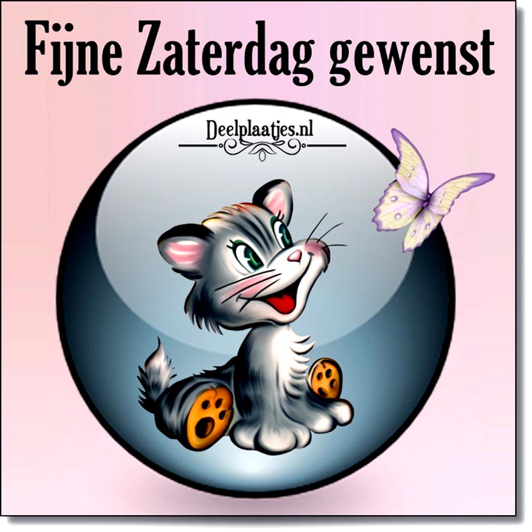 big-deelplaatjes-nl-fijne-zaterdag-weer-430716