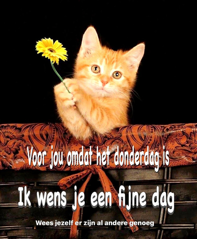 01654a5e1261f73f20391b158e0cd71f