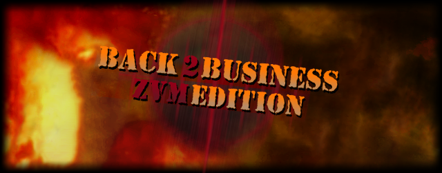 B2B-ZVM-LOGO.png