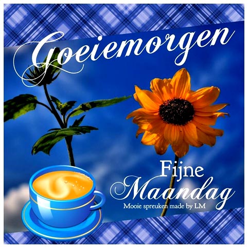 nieuweweek-nieuwe-kansen-fijne-maandag-people1490596414