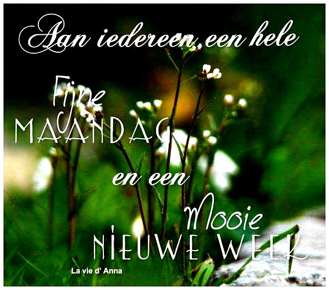 fijne-maandag-wensen-009