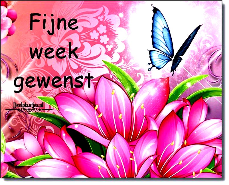 deelplaatjes-nl-start-de-week-met-een-positieve-groet-469030