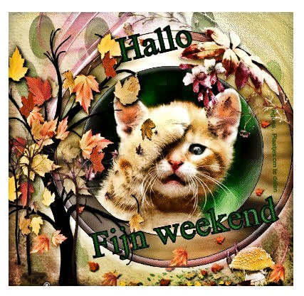 animaatjes-facebook-plaatjes-fijn-weekend-weekend-4235438