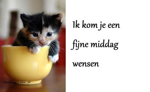 10433865-980835995282842-5667501036206987449-n