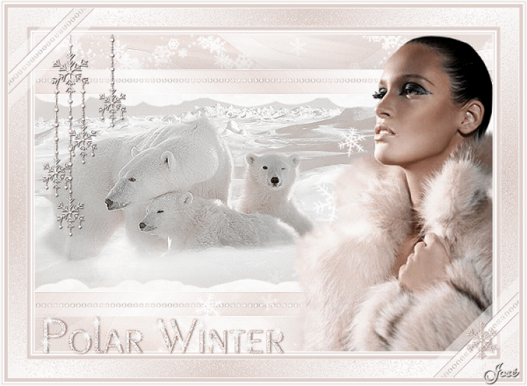 An den Beitrag angehängtes Bild: http://i.postimg.cc/5tBQJ7nx/Animation3-polar-winter.gif