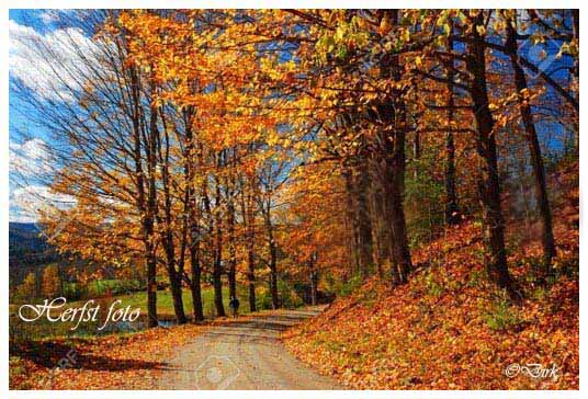An den Beitrag angehängtes Bild: http://i.postimg.cc/5yDCn45y/Herfst.jpg