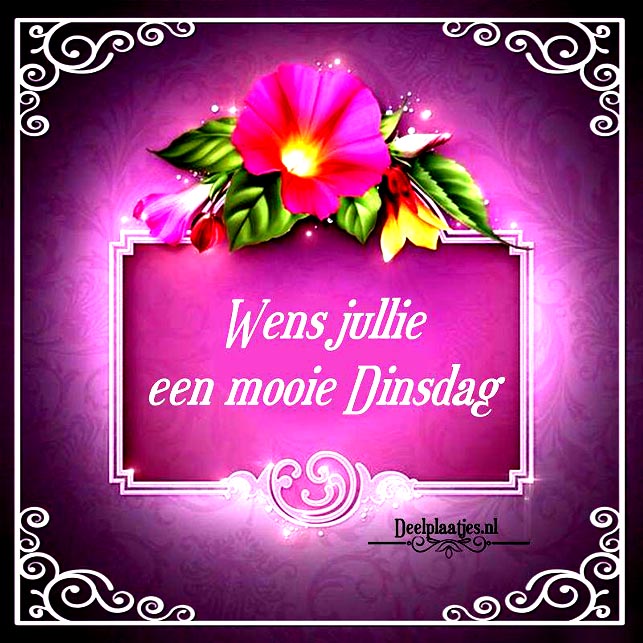 deelplaatjes-nl-wens-jullie-een-mooie-dinsdag-459138