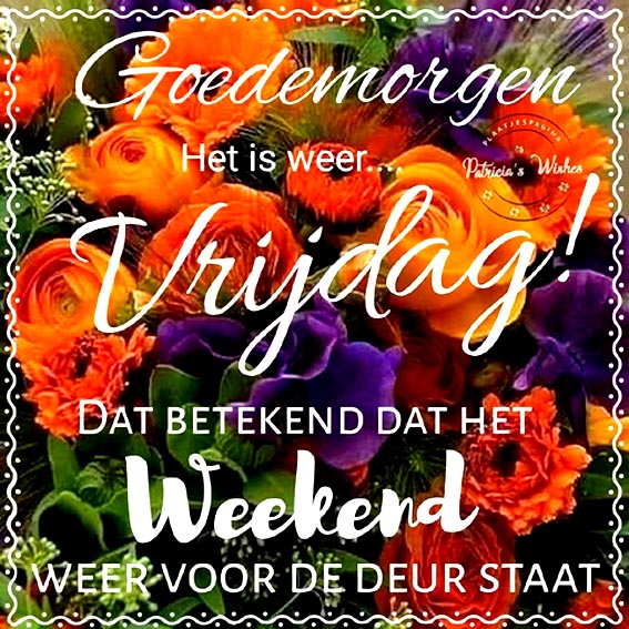 a8f35e0ec14d64660603cd437604125e