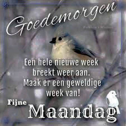 henk