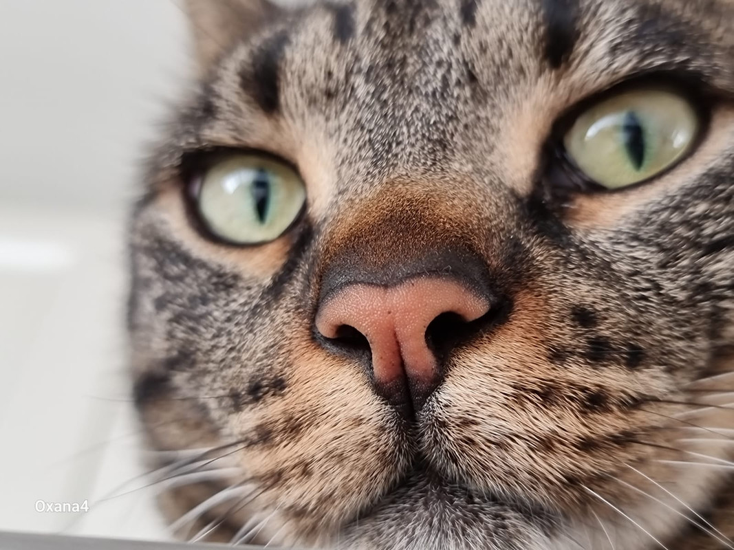 ,.   !