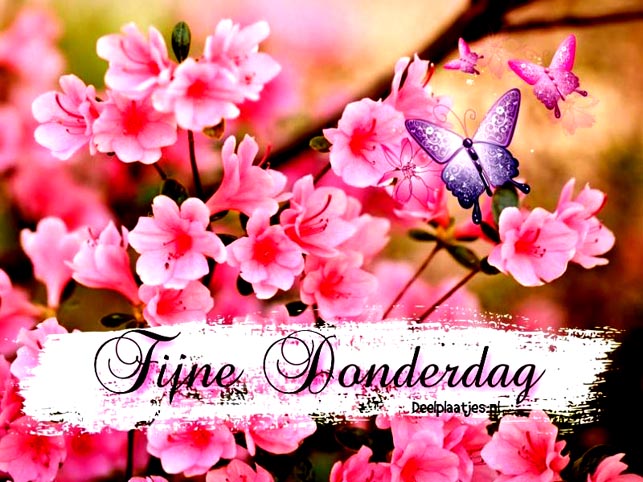henk-anneke