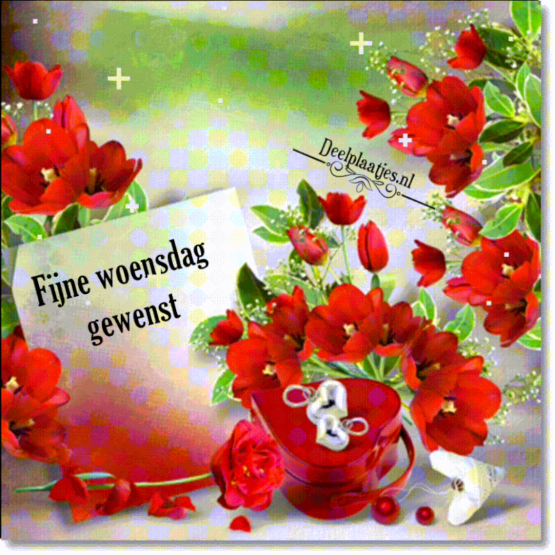 deelplaatjes-nl-woensdag-465653-jpg