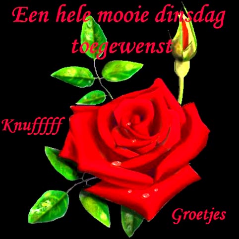 animaatjes-dinsdag-22092