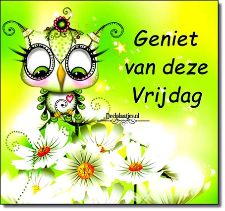 deelplaatjes-nl-anette-vrijdag-442118