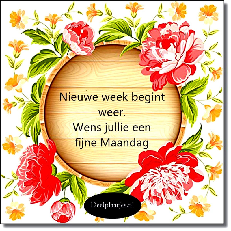 big-deelplaatjes-nl-nieuwe-week-begint-weer-479753