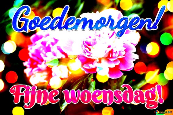 goedemorgen-fijne-woensdag-blooms-love-greetings-background-10735