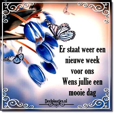fijne-week-tekst-004