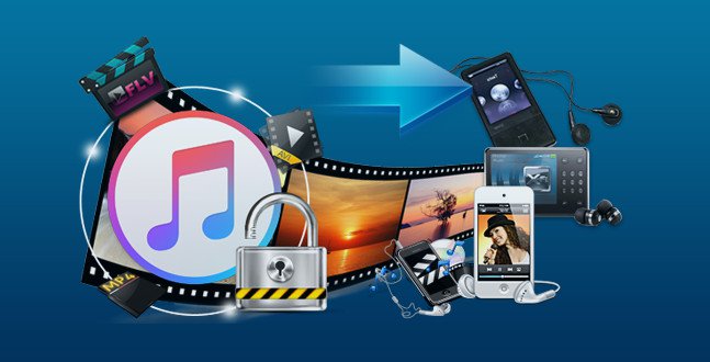 Kigo M4V Converter Plus 5.5.3 Multilingual