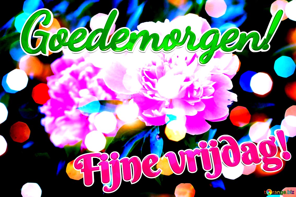 goedemorgen-fijne-vrijdag-background-harmony-flower-blossom-loves-greetings-10737
