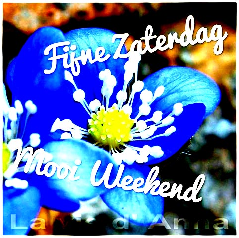 f3004ea87baccc13fc17aceff0856a4c