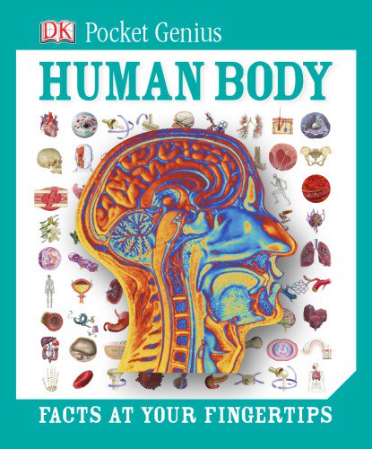 Pocket Genius: Human Body: Facts at Your Fingertips