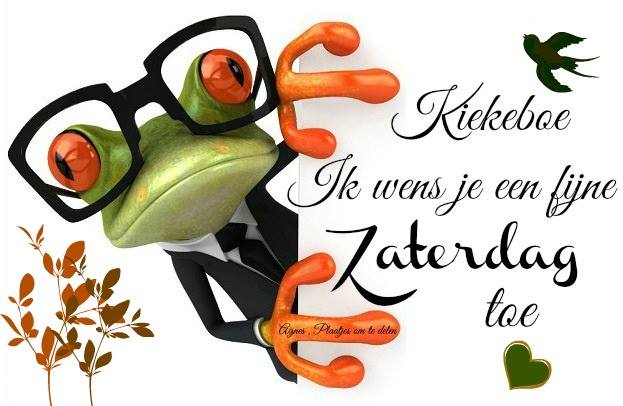 animaatjes-zaterdag-facebook-plaatjes-kiekeboe-ik-wens-je-een-fijne-zaterdag-toe-0532549