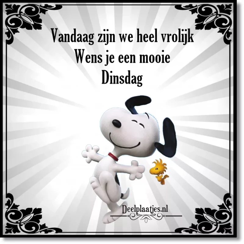 deelplaatjes-nl-mooie-dinsdag-446919