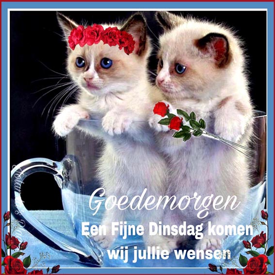 618825bb07ebf4b29da308b50be7904d