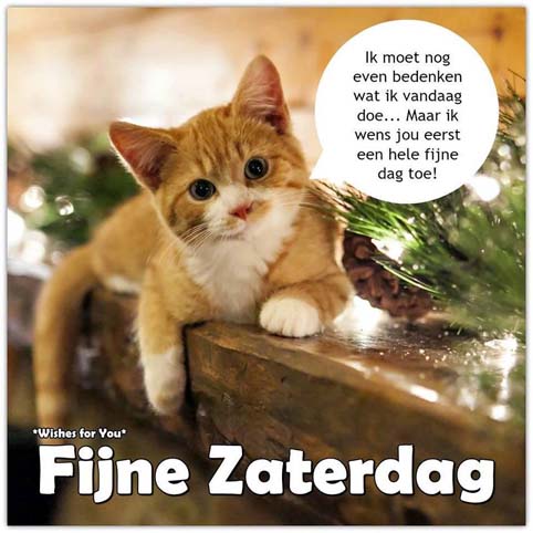 25396092-1583807388343382-8160056078321613094-n