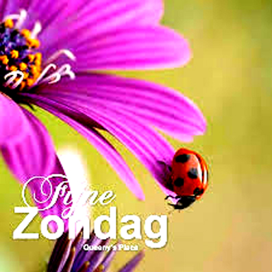 download
