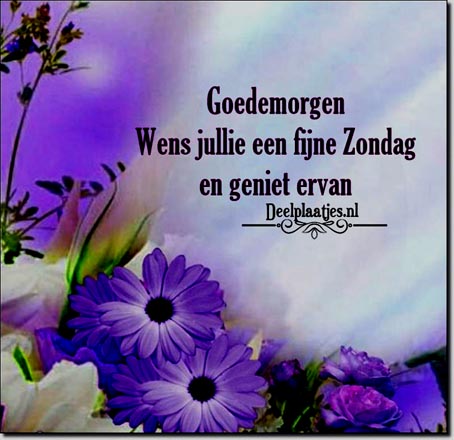 deelplaatjes-nl-anette-zondag-472419
