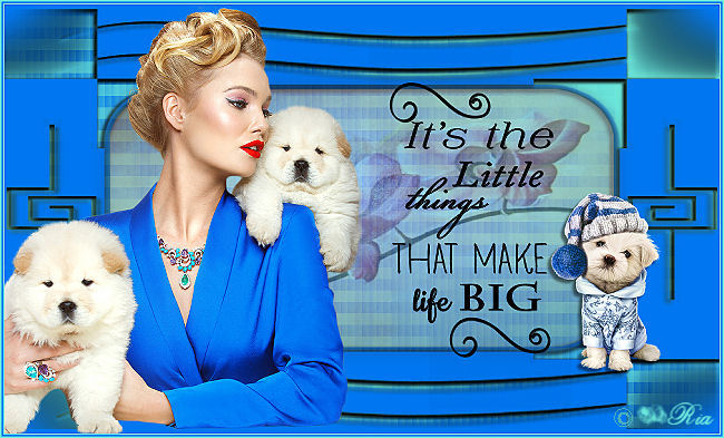 An den Beitrag angehängtes Bild: http://i.postimg.cc/CxmWVfwX/big.jpg