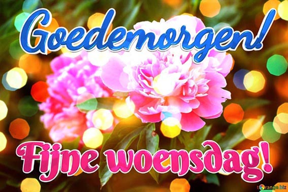 henk-anneke