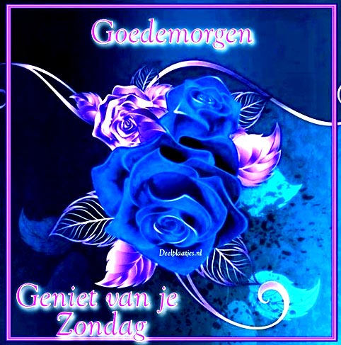 deelplaatjes-nl-geniet-van-je-zondag-431993