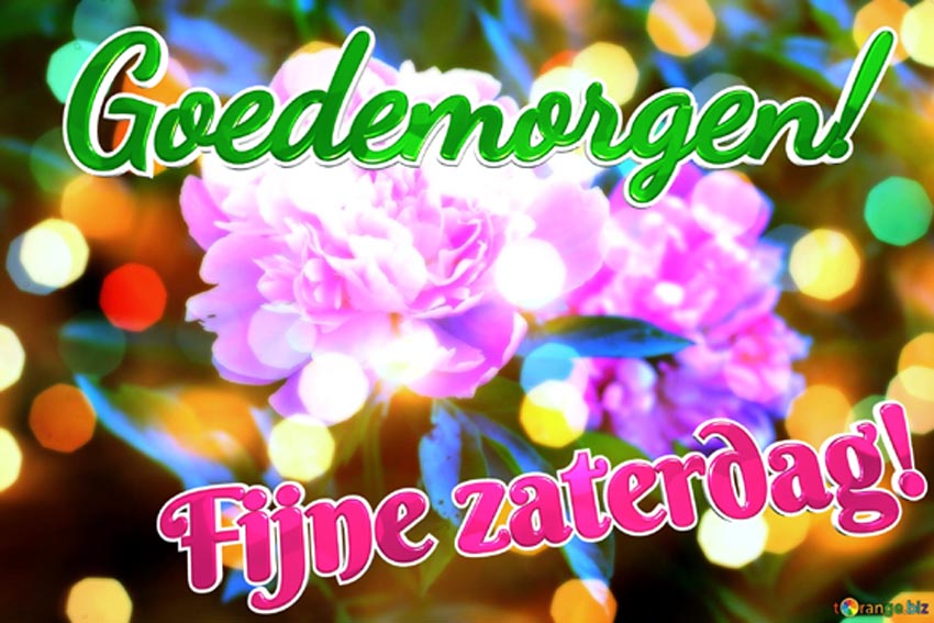goedemorgen-fijne-zaterdag-floral-love-elegance-pink-flower-greetings-canvas-10738