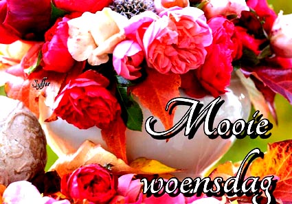 fijne-woensdag-bloemen-029
