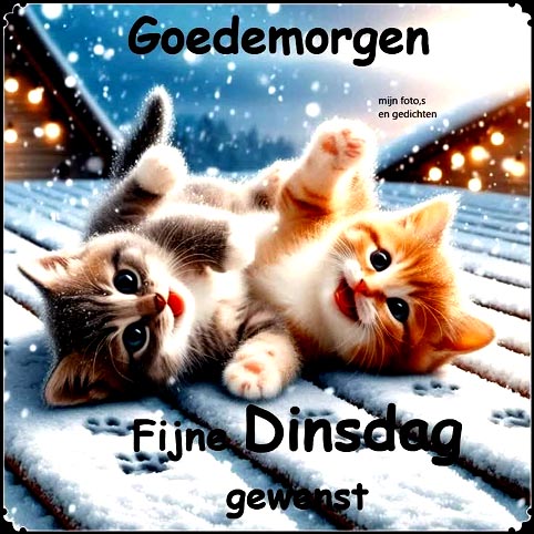 c029f29f5ea40855b95b4fb0f6c743f7-jpg-henk