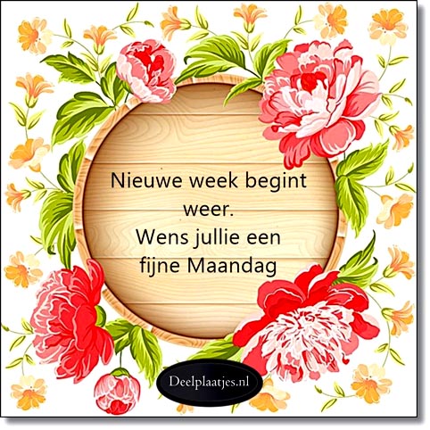 deelplaatjes-nl-nieuwe-week-begint-weer-479753